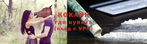 экстази Богородицк