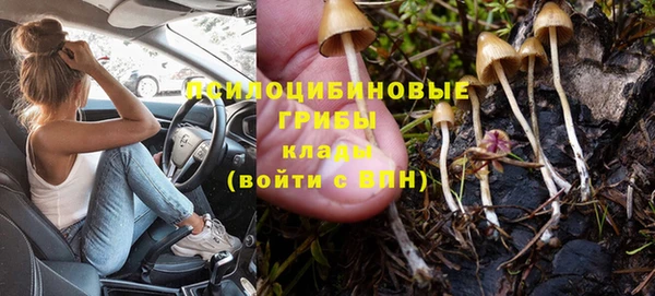 МДПВ Богданович